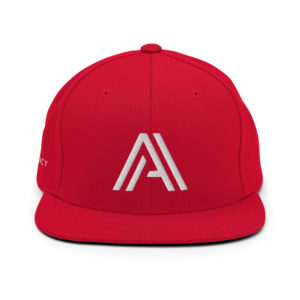 THE Solid Snapback Hat